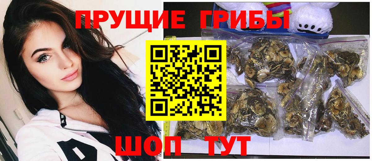 Галлюциногенные грибы мицелий Новоалтайск