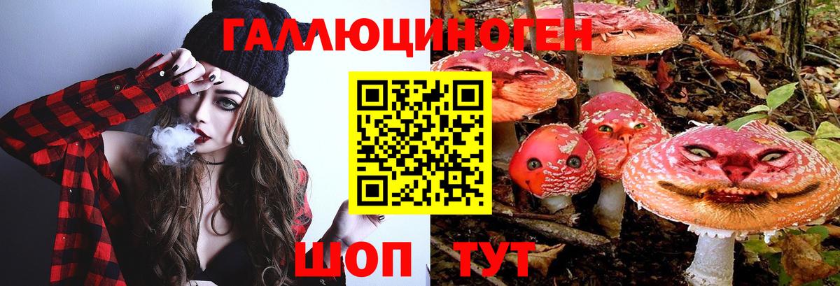 Новоалтайск  Псилоцибиновые грибы ЛСД  Вход с VPN  Псилоцибиновые грибы Psilocybine cubensis 
