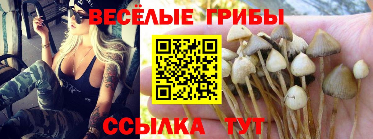 МЕТАМФЕТАМИН  Вход с VPN  APVP СОЛЬ   Меф МЯУ МЯУ кристаллы  Канабис  Новоалтайск  ГАШИШ 